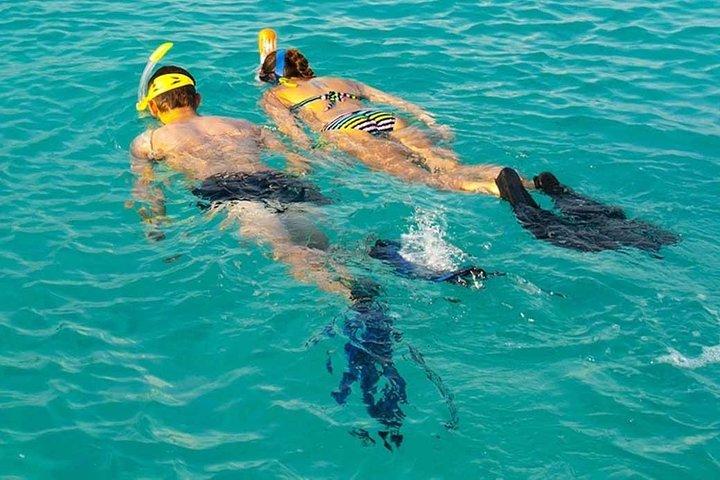 Snorkelen bij Mnemba-atol