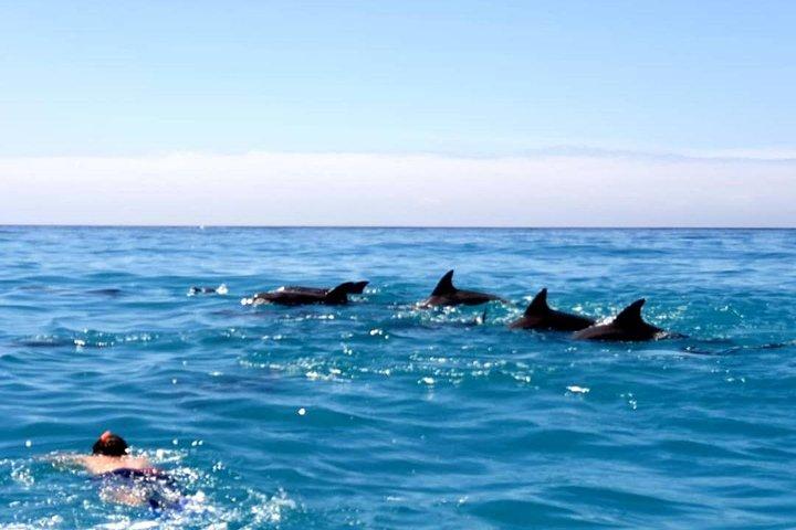 Snorkelen bij Mnemba-atol