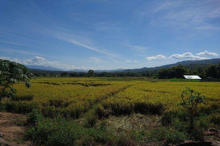 タイ、チェンマイからの 3 日間のオートバイ ツアー (メーホンソン ループ)
