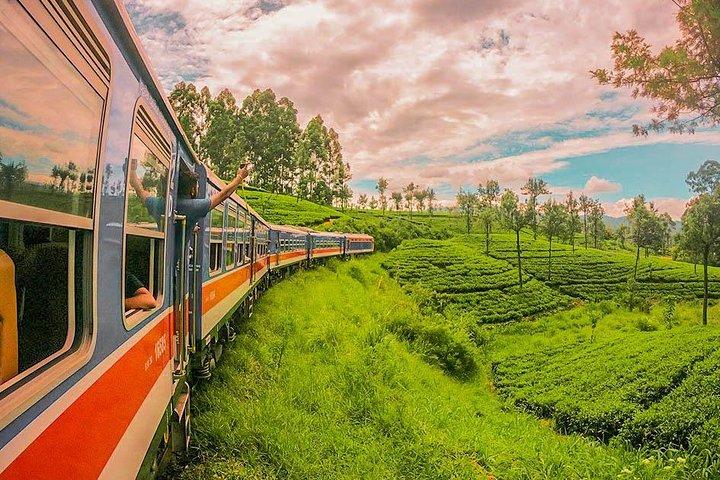 Viaggio in treno da Nanu Oya a Kandy (Treno n .: 1006 "Podi Menike")