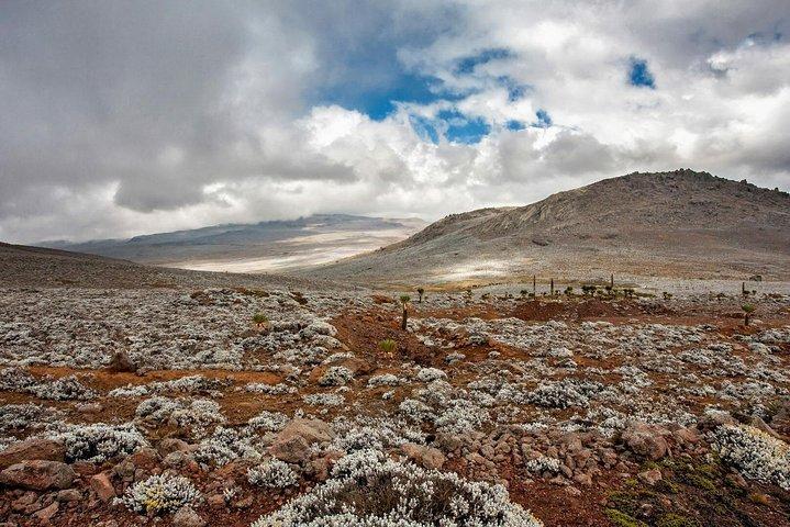 Trekking a Bale Mountains 3 giorni