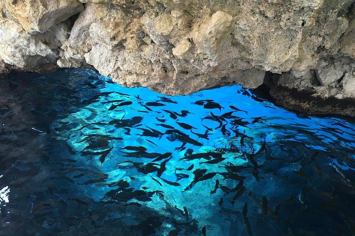 Private Corfu Tour- Praia de Glyfada e Paleokastritsa