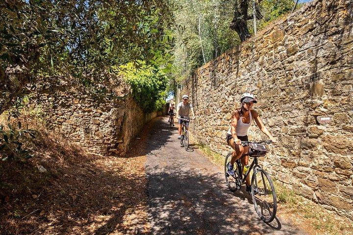 Tour en bicicleta por la Toscana con vino, aceite y comida en las colinas florentinas