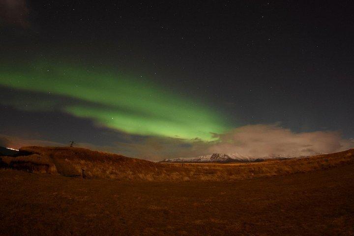 Winter walvissen spotten en Northern Lights Cruise vanuit Reykjavik