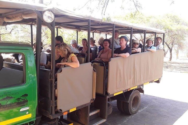 Pilanesberg Tour