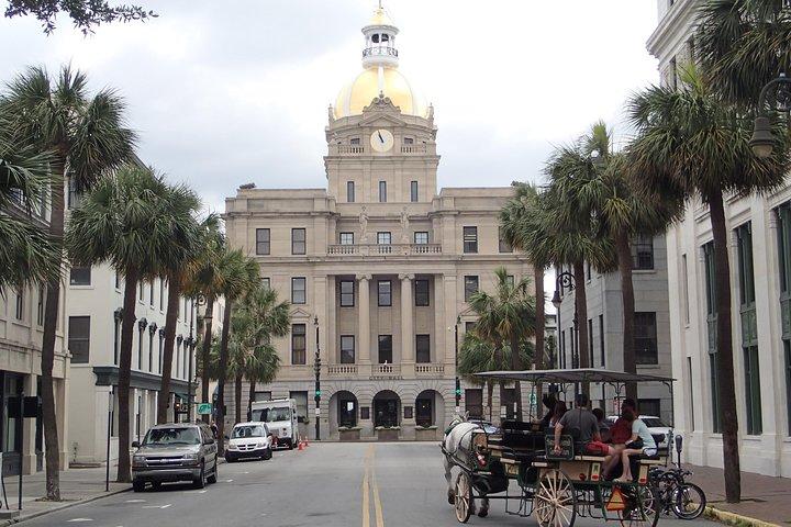 Savannah Scavenger Hunt Adventure