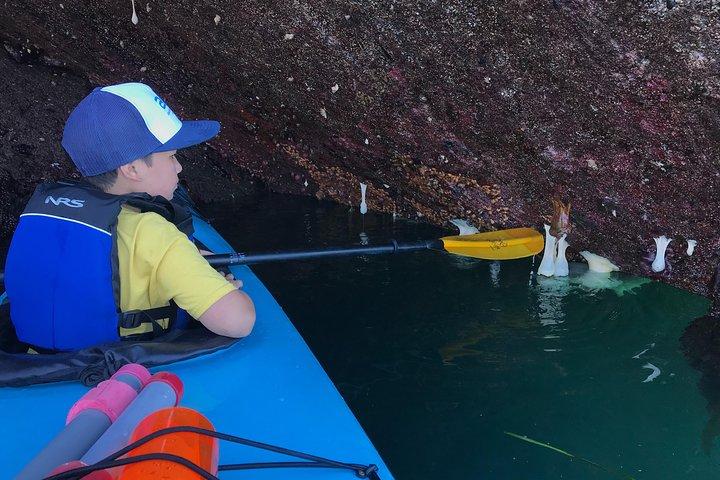Kayak en el Parque Estatal Deception Pass