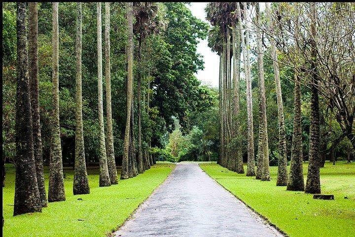 Nuwara Eliya & Kandy | 2 Days Tour