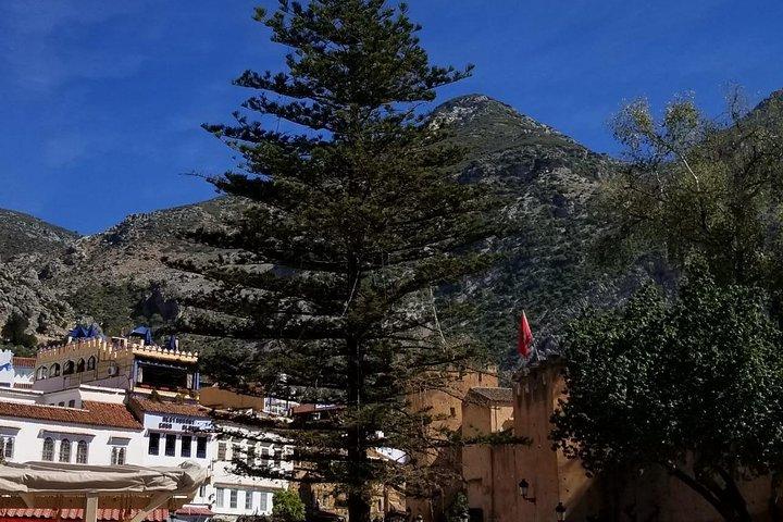 Excursion d’une journée à Chafchaouen au départ Fès