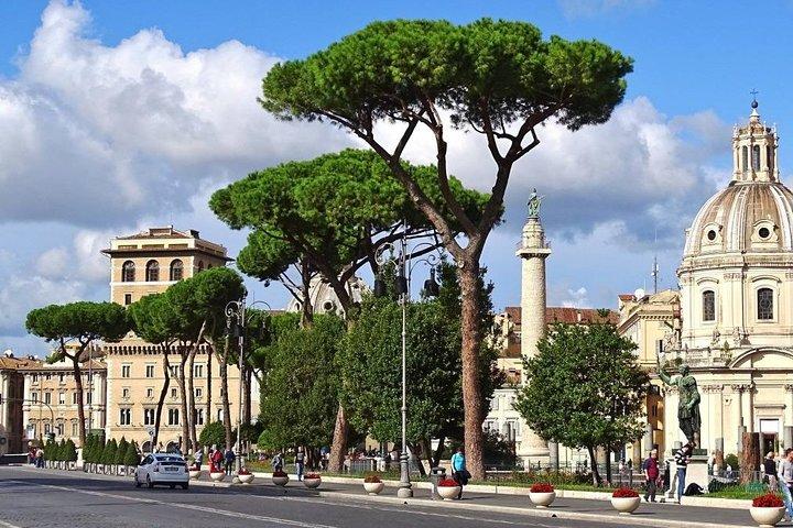 Aeropuerto FCO de Roma al puerto de Civitavecchia con recorrido privado por la ciudad