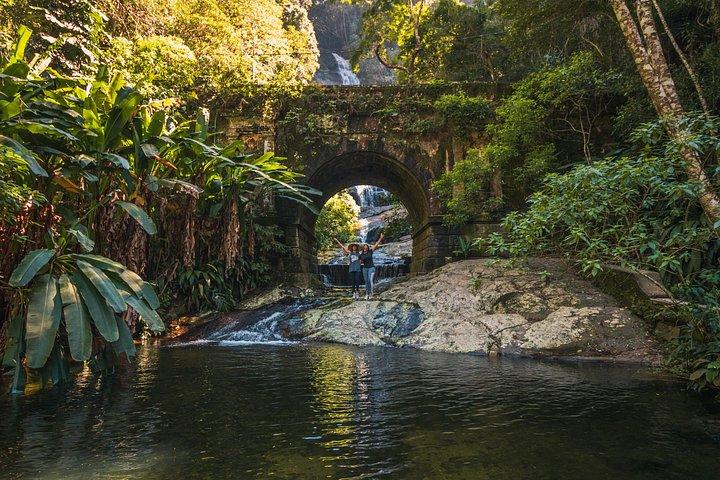 Tijuca Forest Trail - specialized guide and photos