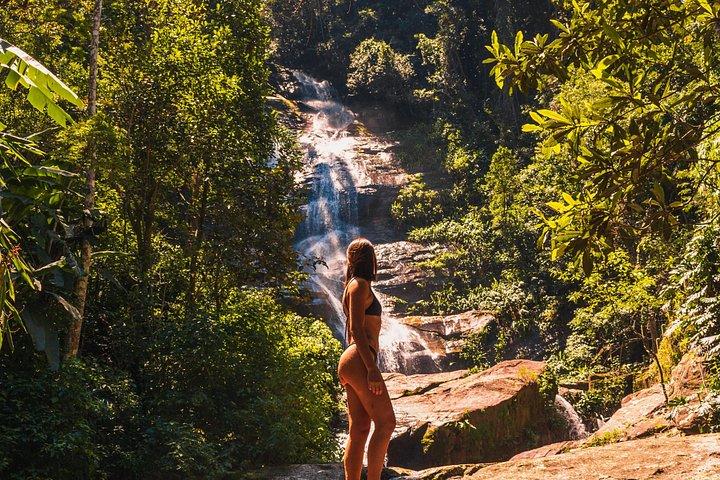 Tijuca Forest Trail - specialized guide and photos