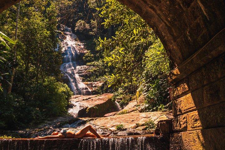 Tijuca Forest Trail - specialized guide and photos