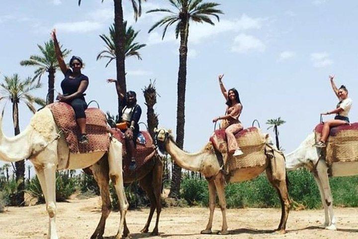 マラケシュ：アガファイ砂漠のクワッドバイクとラクダ乗り、ディナーショー付き