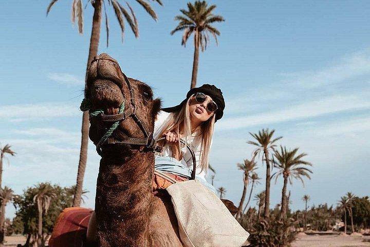 Attività a dorso di cammello nel palmeto di Marrakech