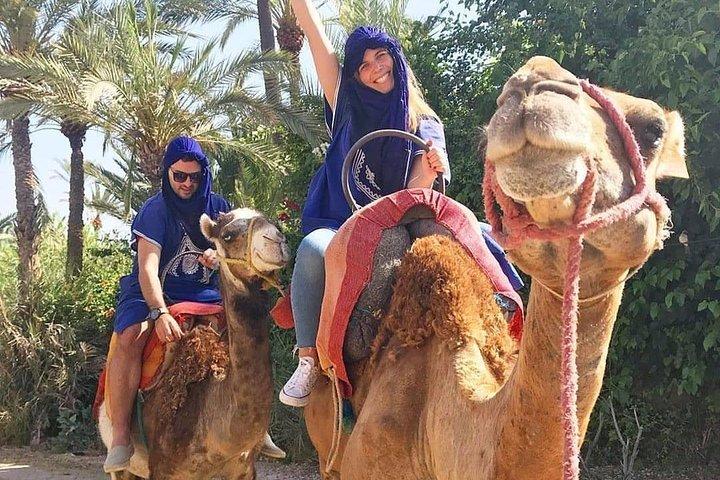 Camel Ride Plameraie