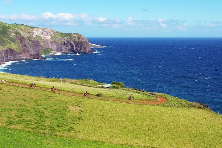 Maui HorseBack Adventure no Circle M Ranch com verdadeiros cowboys