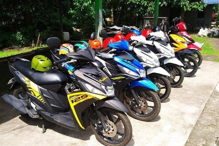セブ: 交通手段 - 車、バン、バイク、ボート