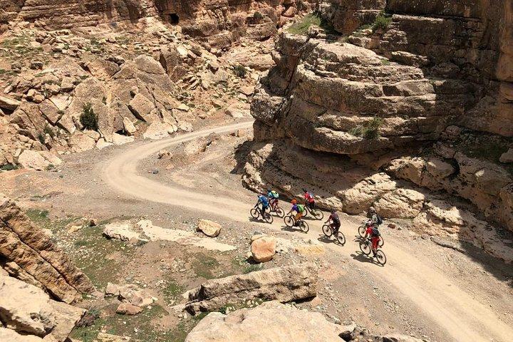 マラケシュからの挑戦的なシングルトラックマウンテンバイク日帰り旅行