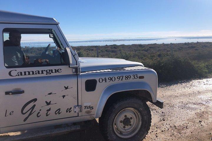 Camargue 4x4 Safari Day