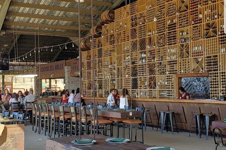 TOUR DI DEGUSTAZIONE PRIVATA (Trasporti, orari personalizzati)