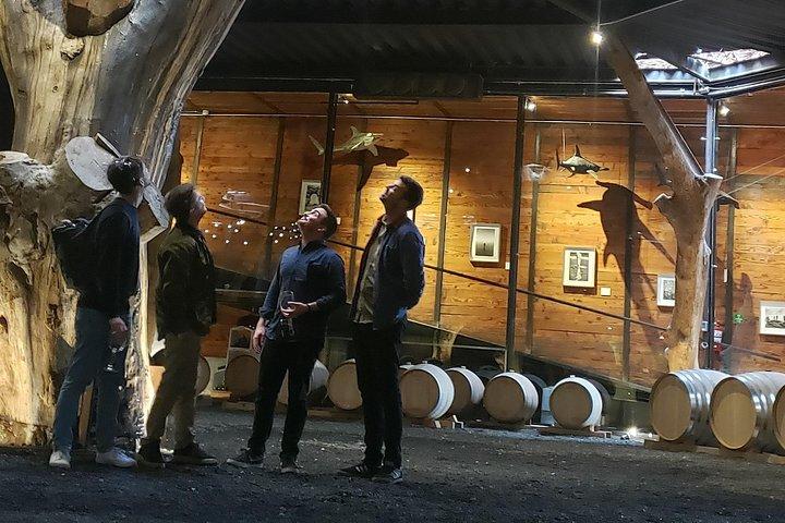 TOUR DI DEGUSTAZIONE PRIVATA (Trasporti, orari personalizzati)