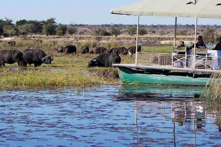 chobe Day trip