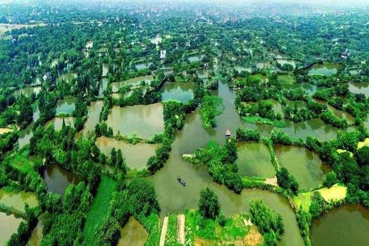 A Depth-Tour to Explore Xixi Wetland Park including Fishing experience