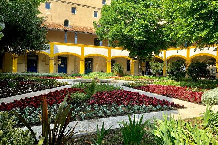Excursión de medio día a Van Gogh por Provenza desde Aviñón