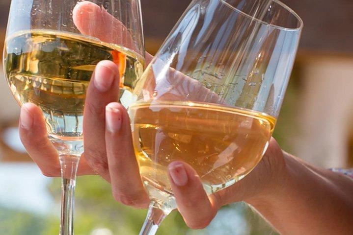 Alsácia: Visita a uma vinícola singular feita com fardos de palha/Degustação de vinhos biodinâmicos