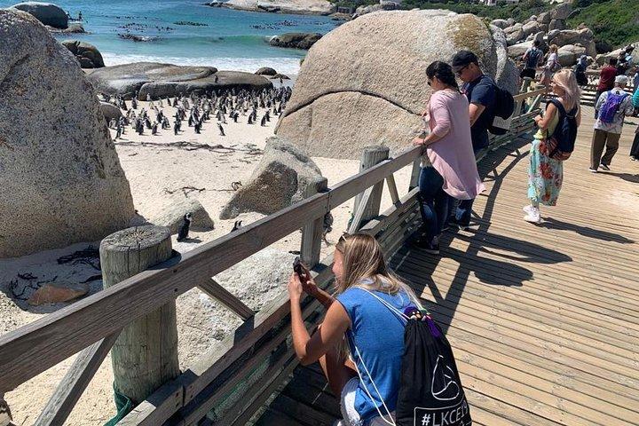 Privat: Cape Peninsula & Table Mountain Heldagstur.