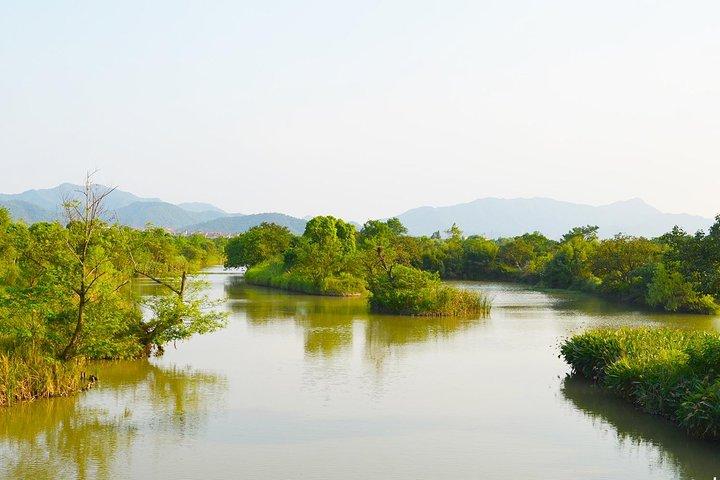 A Depth-Tour to Explore Xixi Wetland Park including Fishing experience