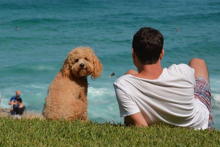 Sydney Private Experience com um local 3 - 8hrs: Ícones e gemas