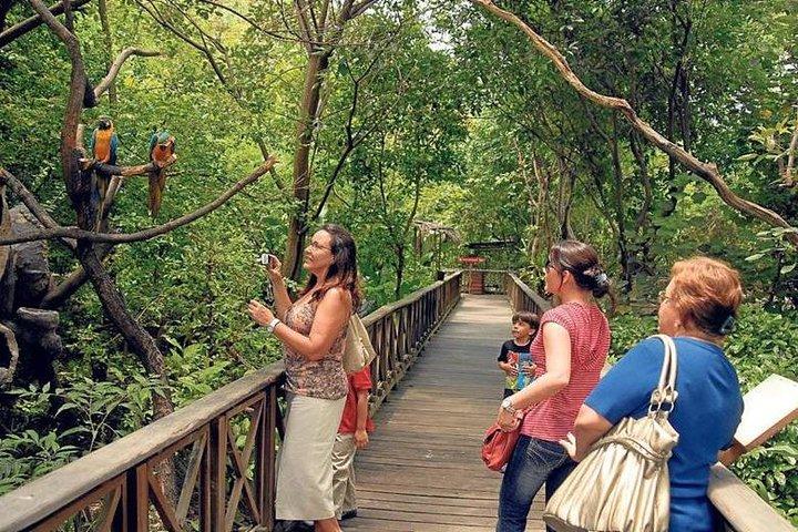 Parc historique de Guayaquil : Culture, nature et architecture