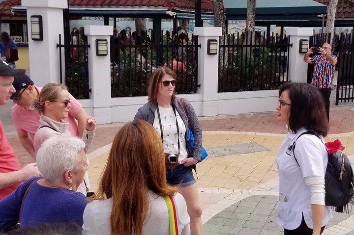 ウィンウッド ウォールズとリトル ハバナを巡るマイアミ少人数グループ シティ ツアー