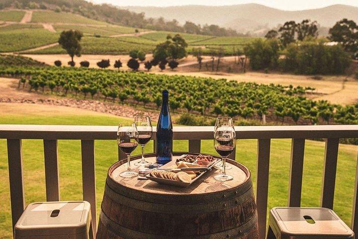 Vinhos Ivanhoe: degustação de vinhos premium do Trip Advisor
