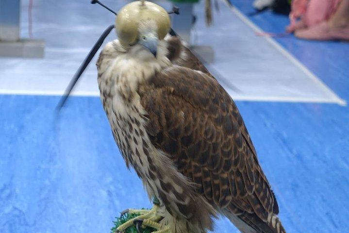 Tour dell'ospedale Falcon con prelievo e rientro in hotel