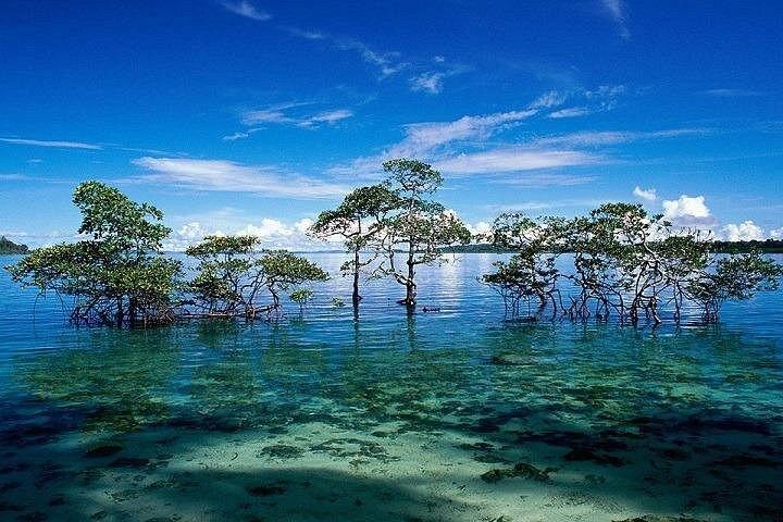 Andaman Tour Package for 7 Days