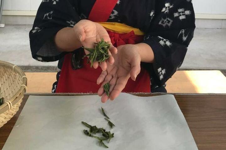 埼玉県狭山市の茶園ツアー