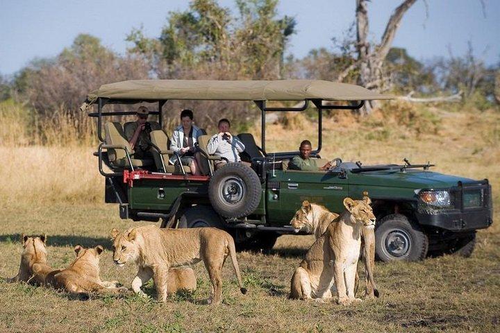 Helicopter, Falls tour en Chobe Day trip Combo