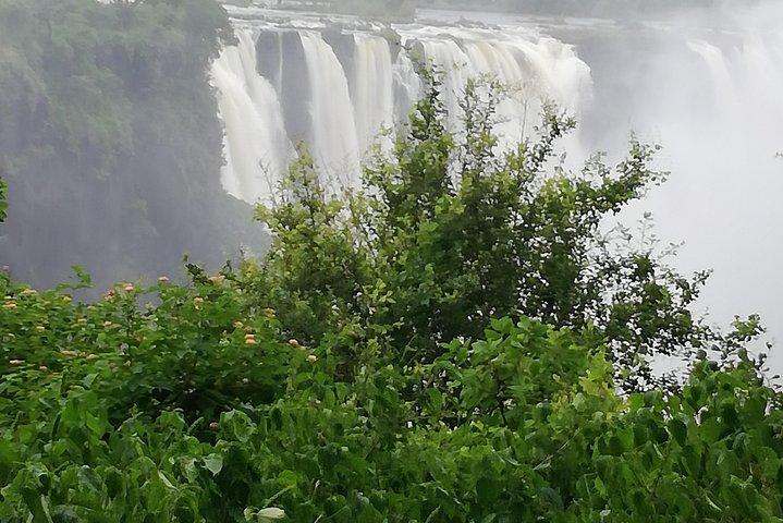 Helicopter, Falls tour en Chobe Day trip Combo