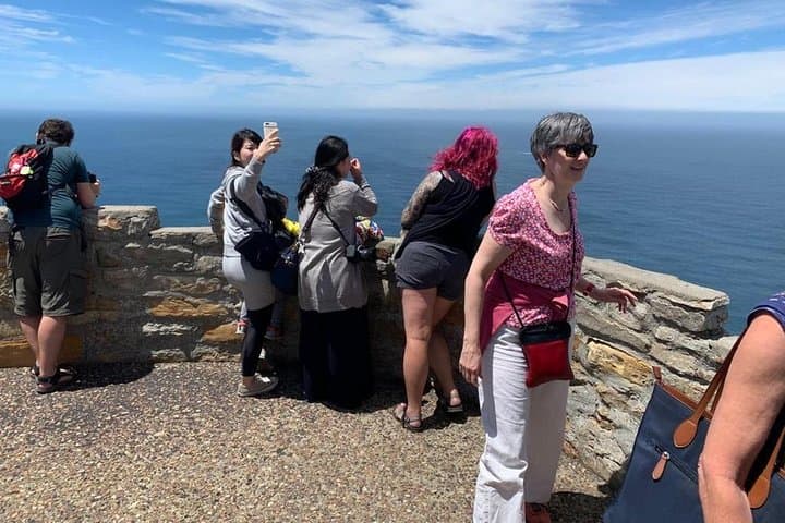 Small Group: Cape Peninsula & Table Mountain Full Day Tour.