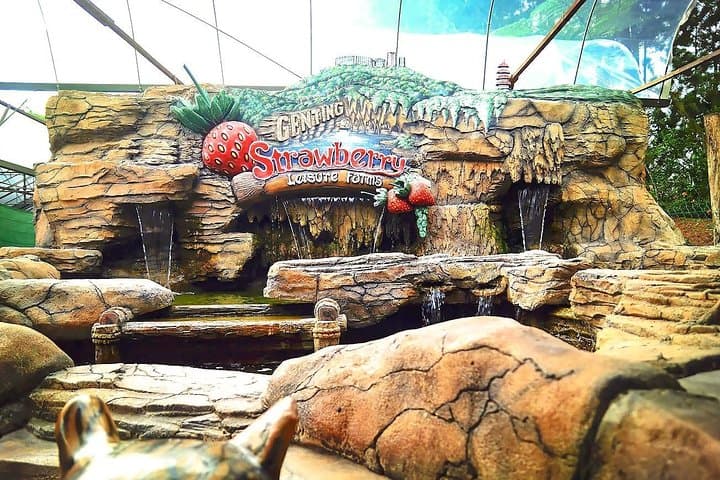 Genting Highland Full-Day Tour
