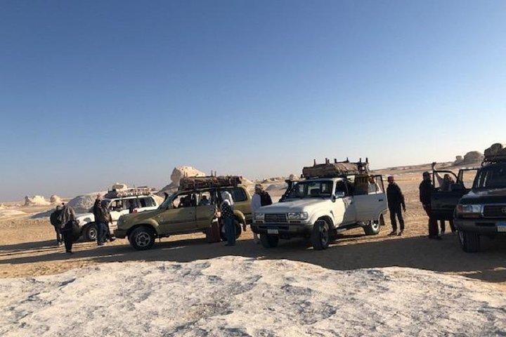 2 dagar White Desert och Bahariya Oasis Tour