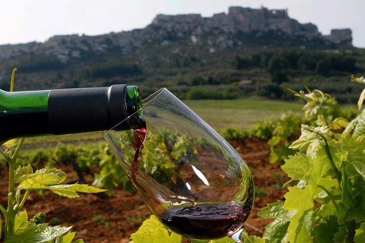 Tour privato del vino di un'intera giornata in Provenza con degustazione di vini