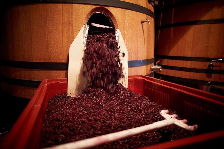Tour privato del vino di un'intera giornata in Provenza con degustazione di vini