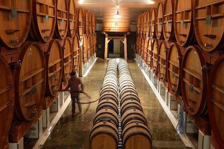 Tour privato del vino di un'intera giornata in Provenza con degustazione di vini