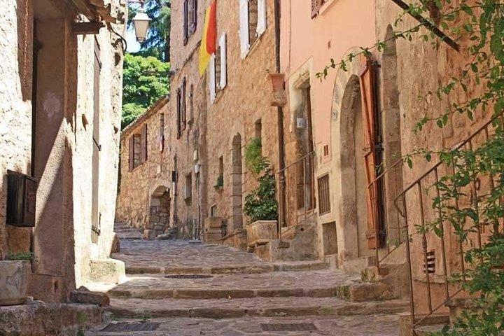 Tour privato del vino di un'intera giornata in Provenza con degustazione di vini