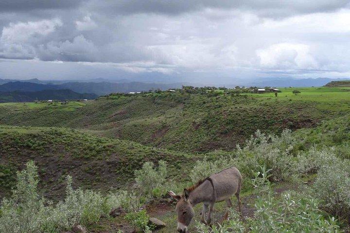 Lalibela churches Guided Tour