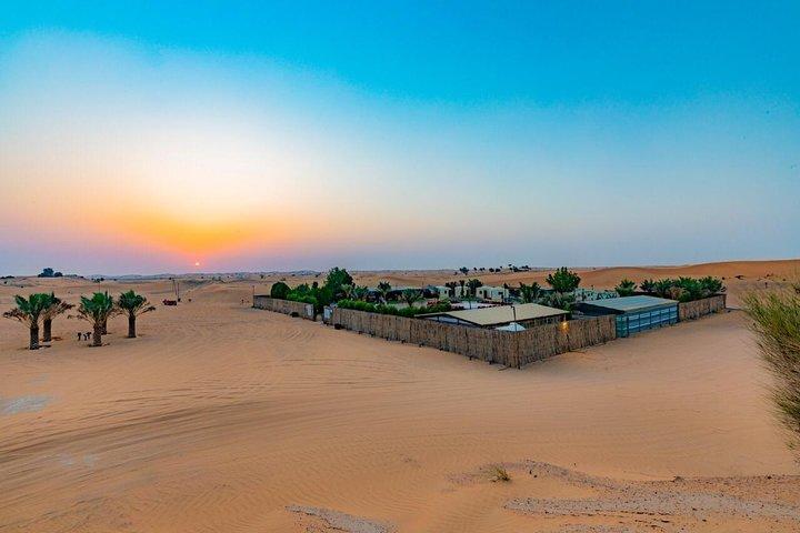 Geführte Desert Quad Safari mit Kamelritt, BBQ-Dinner und Live-Shows